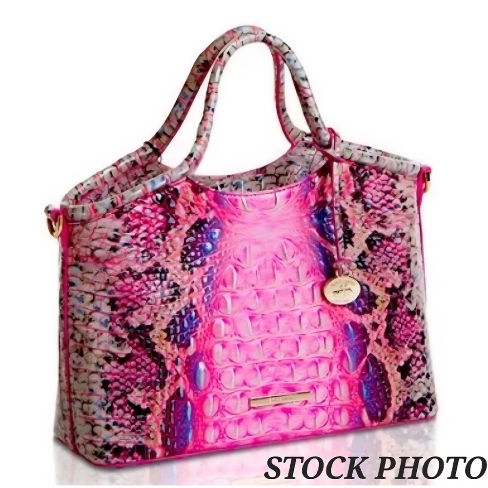 Brahmin Ombré Melbourne Small Elaine Satchel Pink Cobra Snake Embossed Leather